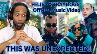 First Time Hearing FELIP - 'STRAYDOGS' Official Music Video [Reaction]