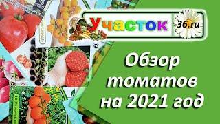 Обзор томатов на 2021 год
