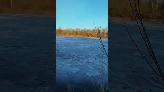#копметалла #природа #весна #2025 #рекомендации