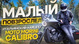 Итальянский Harley для новичков - Moto Morini Calibro