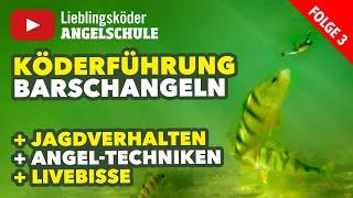 Köderführung zum Angeln auf Barsche mit dem Gummifisch (Staffel 1, Folge 3)