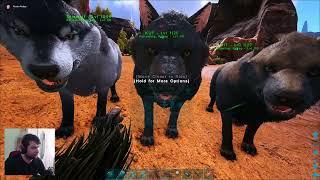 Savaşı Kazanmak İçin!! | Ark Youtuber Savaşları #13