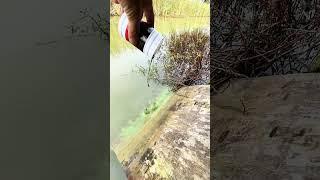 Girl Lucy Baby Cute Catching Fish #beautiful #girl #fishing #trending #shorts