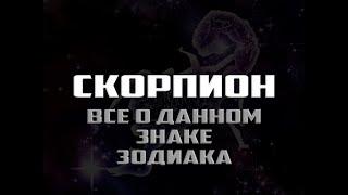 Скорпион - все о знаке зодиака