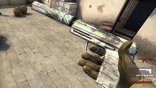 CS:GO Skin Showcase USP-S Road Rash