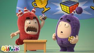 Fuse Intenta Resolver el Rubixube | Caricaturas | Videos Graciosos Para Niños | Oddbods