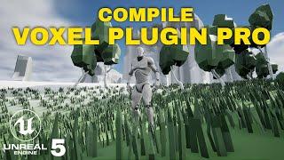 Compiling Github Code with Voxel Plugin Pro