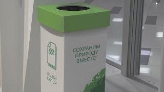 «Зеленое» образование с Камчатки