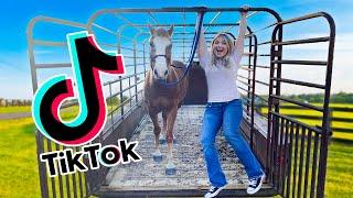 Recreating VIRAL EQUESTRIAN TIK TOKS! PART 5!!