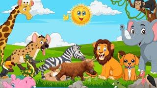 Live wild animals names and sound#kidsvideos #animals @eiva education home