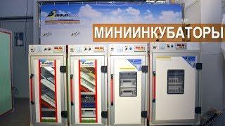 Мини инкубаторы MultiLife  Бориса Кравчик