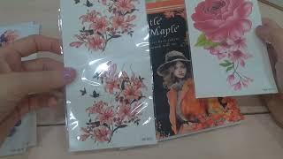 Обзор на стикербуки с АлиЭкспресс "Gentle Late Maple" и "Spring notes"