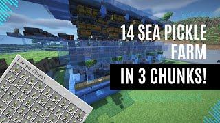 The Ultimate Sea Pickle Paradise: A Guide to the Most Optimized Farm 1.20.x