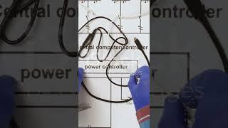 How to assemble switchboard #electrical #homeelectricity #electricmeter #homepower