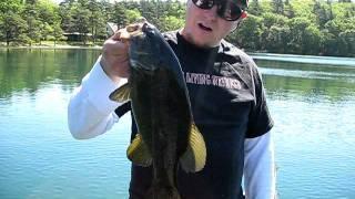 Nice Smallie In Plymouth,ma