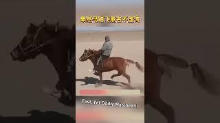 這是一匹跑得飛快，但順拐的馬，果然馬踏飛燕名不虛傳