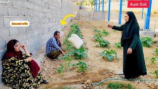 Abbas Seeks Destiny. A Mother's Efforts to Bring Her Daughter Home