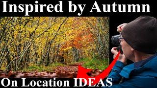 IDEAS for AUTUMN Photography and Image Critique. See past the Colour for your landscape photography