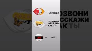#kotik #music #cat