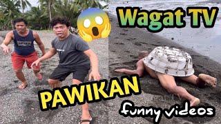 Higanteng Pawikan Part 1 /Wagat TV funny videos @WagatTv