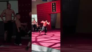 少林猴棍#kungfu #傳承 #shorts