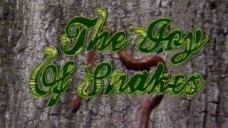 Joy of Snakes | GPB Documentaries