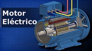 How Electric Motors Work - Three-Phase AC Induction Motors AC Motor