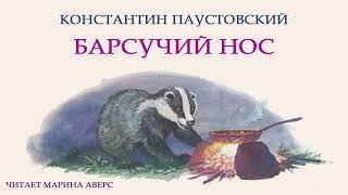 БАРСУЧИЙ НОС |Константин Паустовский |СКАЗКИ ДЛЯ ДЕТЕЙ |Аудио сказка |ЛУЧШАЯ ДЕТСКАЯ ЛИТЕРАТУРА