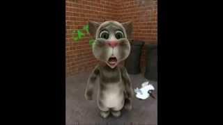 Talking Tom Cat & Talking Larry Bird