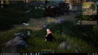 Streaming: Black Desert