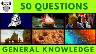 General Knowledge Quiz Trivia | 50 Questions | Do You Know #quiz #trivia #triviachallenge