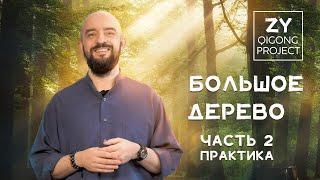 Чжун Юань Цигун - Как выполнять практику "Большое Дерево"