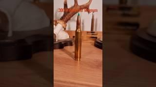 .300 Winchester Magnum #jagd #hunting #kaliber #Sport #militär #großwild #outdoor #longrange