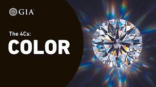 4Cs of Diamond Quality: Diamond Color Grading by GIA