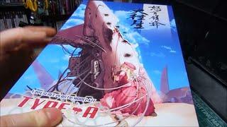 Kotobukiya 1:144 Dodonpachi Daioujou Type A fighter plamo unboxing