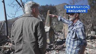 Mel Gibson lost his home but not his Oscars in LA wildfires | Banfield