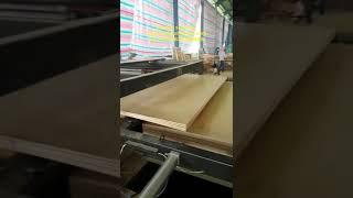 plywood double sizer