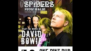Spiders from Malmi-Suffragette City