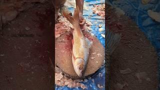 Amazing!! Rohu Fish Cutting Skills by Expert Fish Cutter  || #shorts #fishcutting_skills