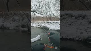 Зимний голавль. Полное видео уже на канале  #рыбалка #зимняярыбалка #спиннинг #зимнийспиннинг