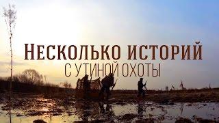 Несколько историй с утиной охоты. Ружье ИЖ-27.