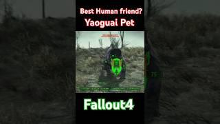 Best Human friend