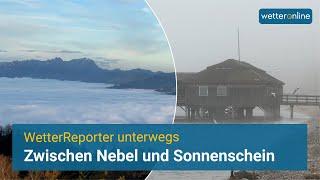 Zwischen Nebel und Sonne - WetterReporter am Bodensee