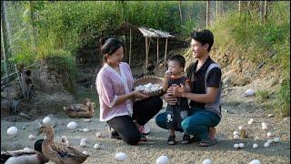 kind Man : help - Duy goes to school - harvest and sell duck eggs || Ly Tieu Nu