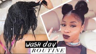 Natural Hair  Best Damn WASH DAY ROUTINE! (start to finish)