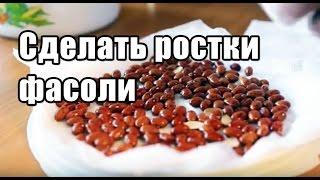 Как прорастить фасоль ростки фасоли дома - маш