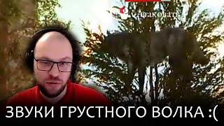 Как победить волка