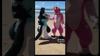 BEST Furry TikToks compilation 0372 #shorts #furrytiktok #furry #furrycompilation  #funnyvideo