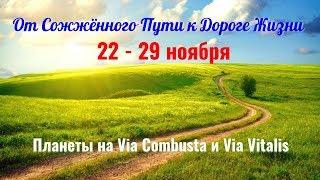 22-29.11 - Змееносец-2 или От Сожжённого пути к Дороге жизни