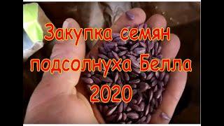 Семена Белла подсолнух евралис 2020